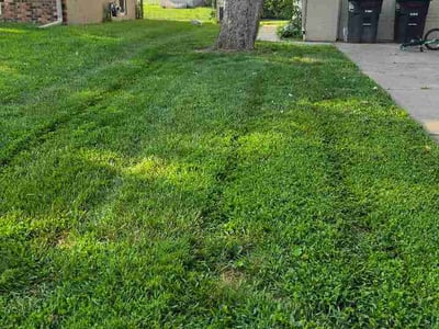 Lawn Care service in Brigham City, 84302