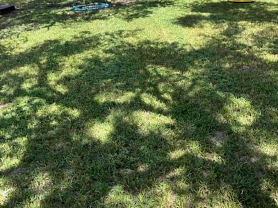 Lawn Care service in Seguin, 78155