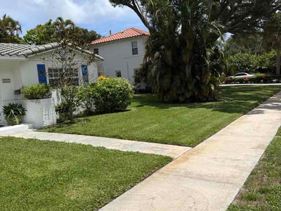 Lawn Care service in West Palm Beach, 33401