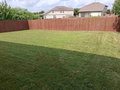 Lawn Care service in Alamo Heights, 78209