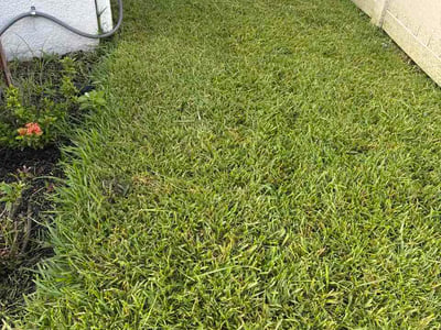 Lawn Care service in Plant City, 33563