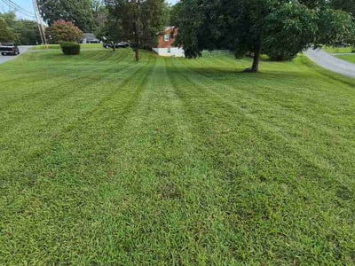Lawn Care service in Fort Washington, 23936