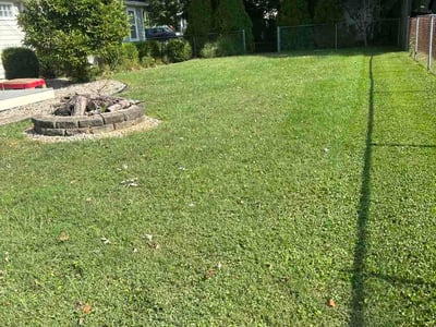 Lawn Care service in Speedway, 46224