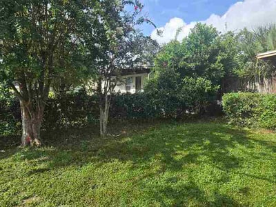 Lawn Care service in Brandon, 33511