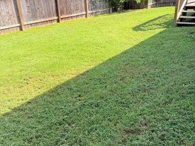 Lawn Care service in Azle, 76020