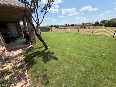 Lawn Care service in Cleburne, 76033