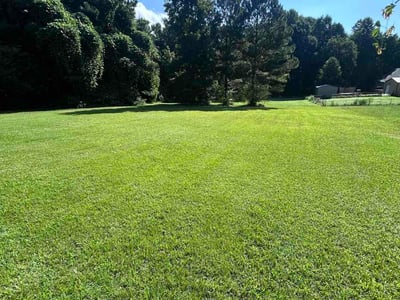 Lawn Care service in Temple, 30179