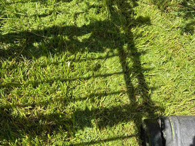 Lawn Care service in Liberty, 77575