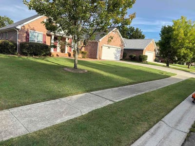 Lawn Care service in Grovetown, 30813