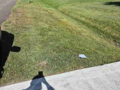 Lawn Care service in Winnie, 77665
