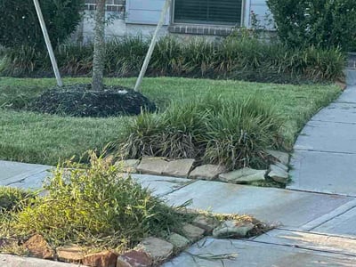 Lawn Care service in Winnie, 77665