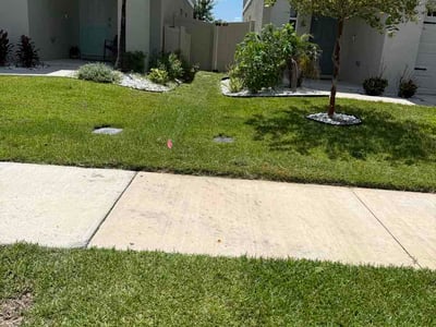 Lawn Care service in Wesley Chapel, 33543