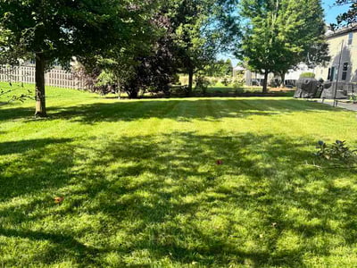 Lawn Care service in Oswego, 60543