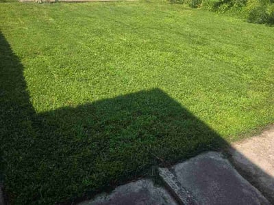 Lawn Care service in Oswego, 60543