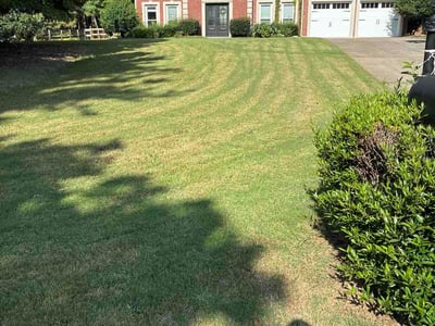 Lawn Care service in Alpharetta, 30009