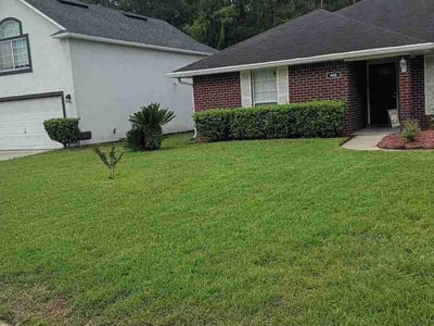 Lawn Care service in Lakeside, 32065