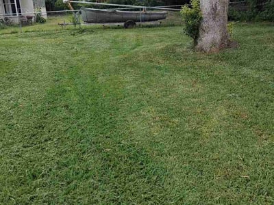 Lawn Care service in Lakeside, 32065