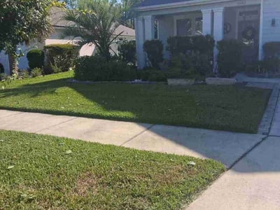 Lawn Care service in Green Cove Springs, 32043