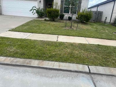 Lawn Care service in Galveston, 77550