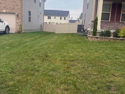 Lawn Care service in Potomac, 20036