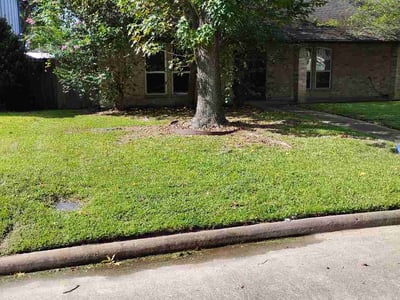 Lawn Care service in Willis, 77378