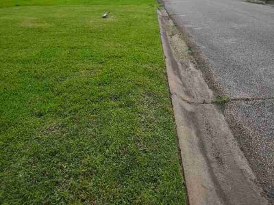 Lawn Care service in Willis, 77378