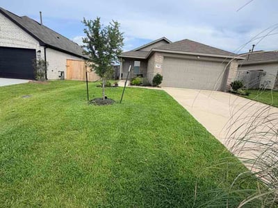 Lawn Care service in Magnolia, 77355