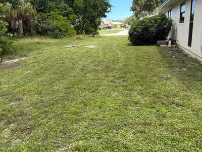 Lawn Care service in Cocoa Beach, 32931
