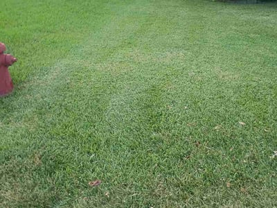 Lawn Care service in North Richland Hills, 76180