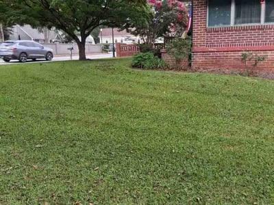Lawn Care service in Newnan, 30263