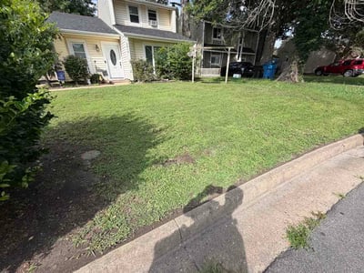 Lawn Care service in Sterling, 20164