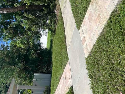 Lawn Care service in Valrico, 33594