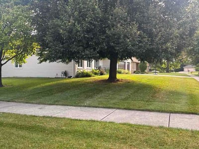 Lawn Care service in Lockport, 60441