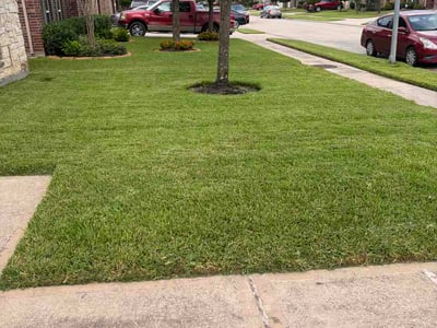 Lawn Care service in Atascocita, 77346