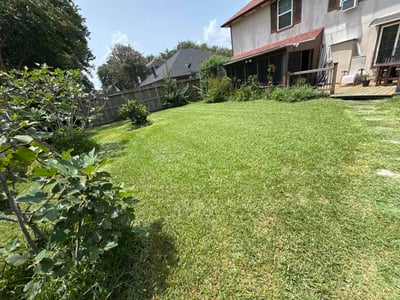 Lawn Care service in Seabrook, 77586