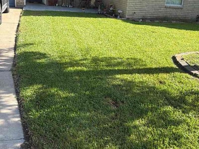 Lawn Care service in Alvin, 77511