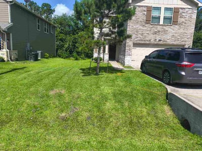 Lawn Care service in Seabrook, 77586