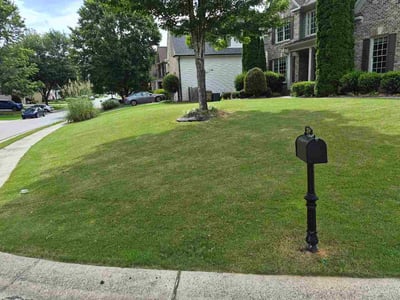 Lawn Care service in Cumming, 30040