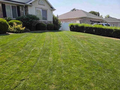 Lawn Care service in American Fork, 84003