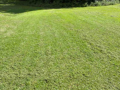 Lawn Care service in Dunwoody, 30338