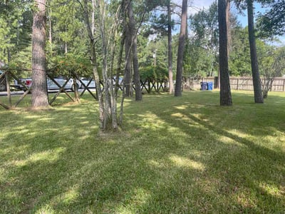 Lawn Care service in Alvin, 77511