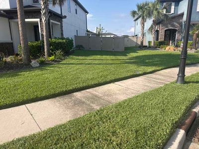 Lawn Care service in Oldsmar, 34677