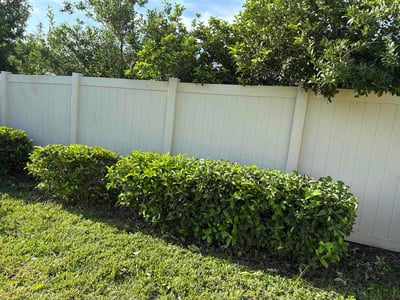 Lawn Care service in Oldsmar, 34677