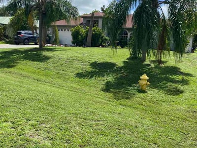 Lawn Care service in Hialeah, 33013
