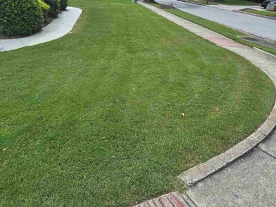 Lawn Care service in Buford, 30518