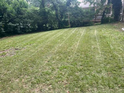 Lawn Care service in Forest Park, 30297