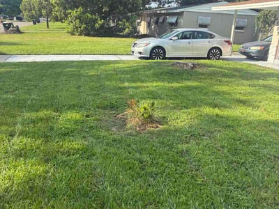 Lawn Care service in Windermere, 34786