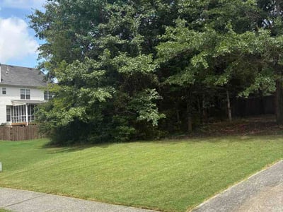 Lawn Care service in Brookhaven, 30319