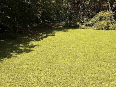 Lawn Care service in Forest Park, 30297