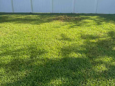 Lawn Care service in Brooksville, 34601